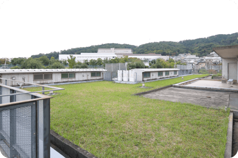 屋上